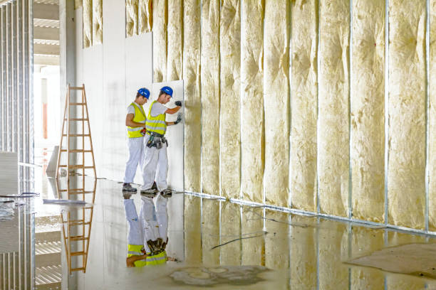 Best Types of Insulation in Auberry, CA